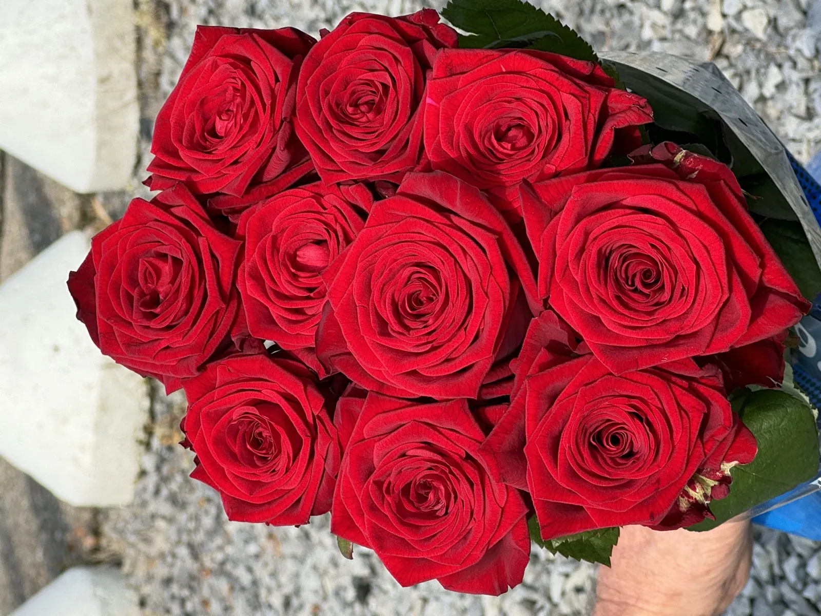 Boeket Dieprode Passie rozen, klassiek en vol bordeauxrood
