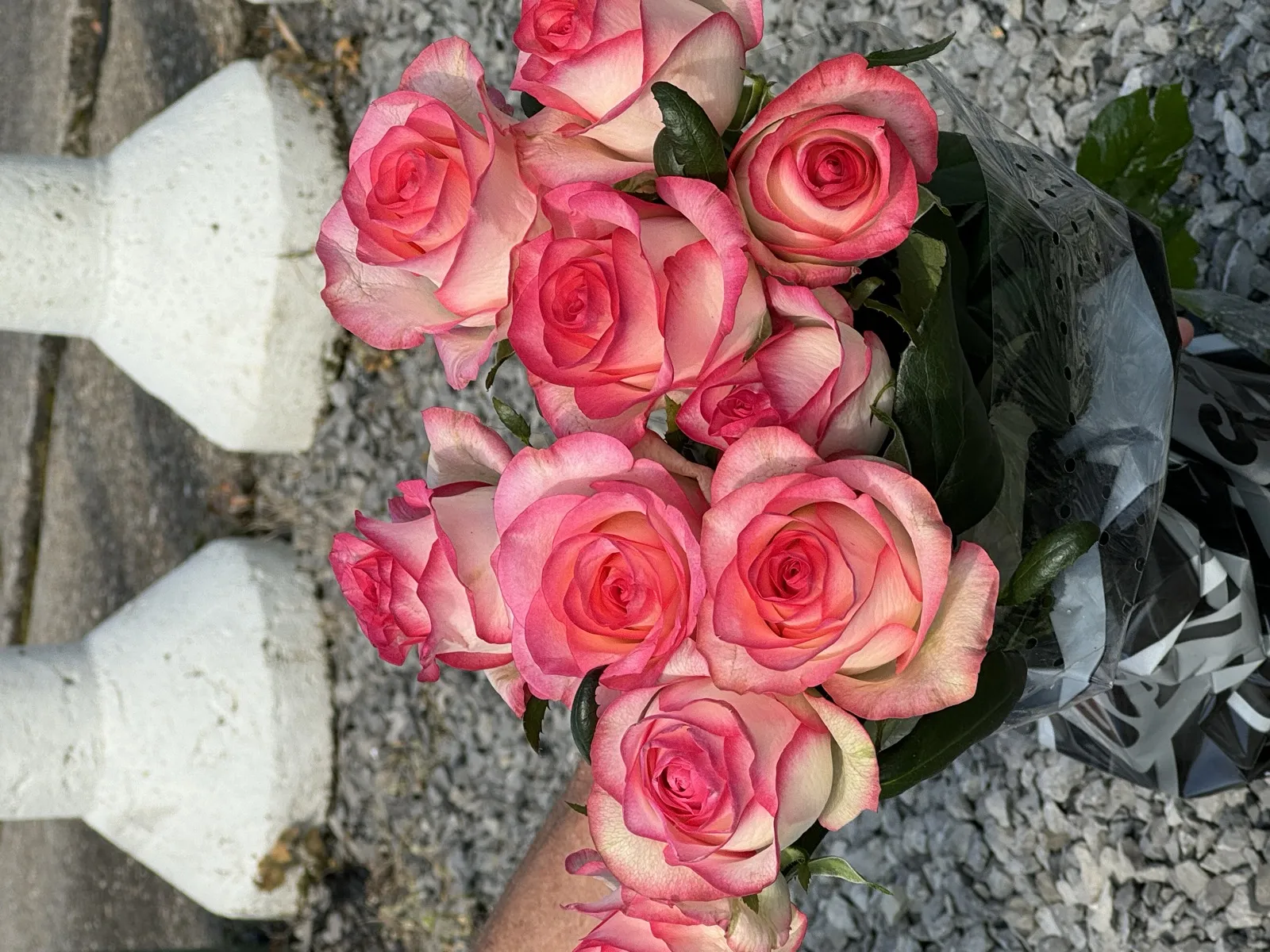 Boeket Jumilia rozen met crèmeroze blaadjes en roze randen